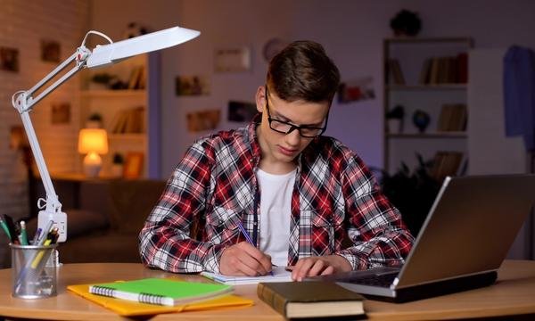 Best Essay Writing Services in The USA